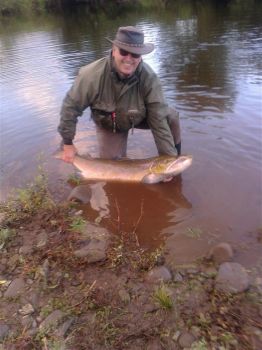 Largest salmon on the Usk for 62 years