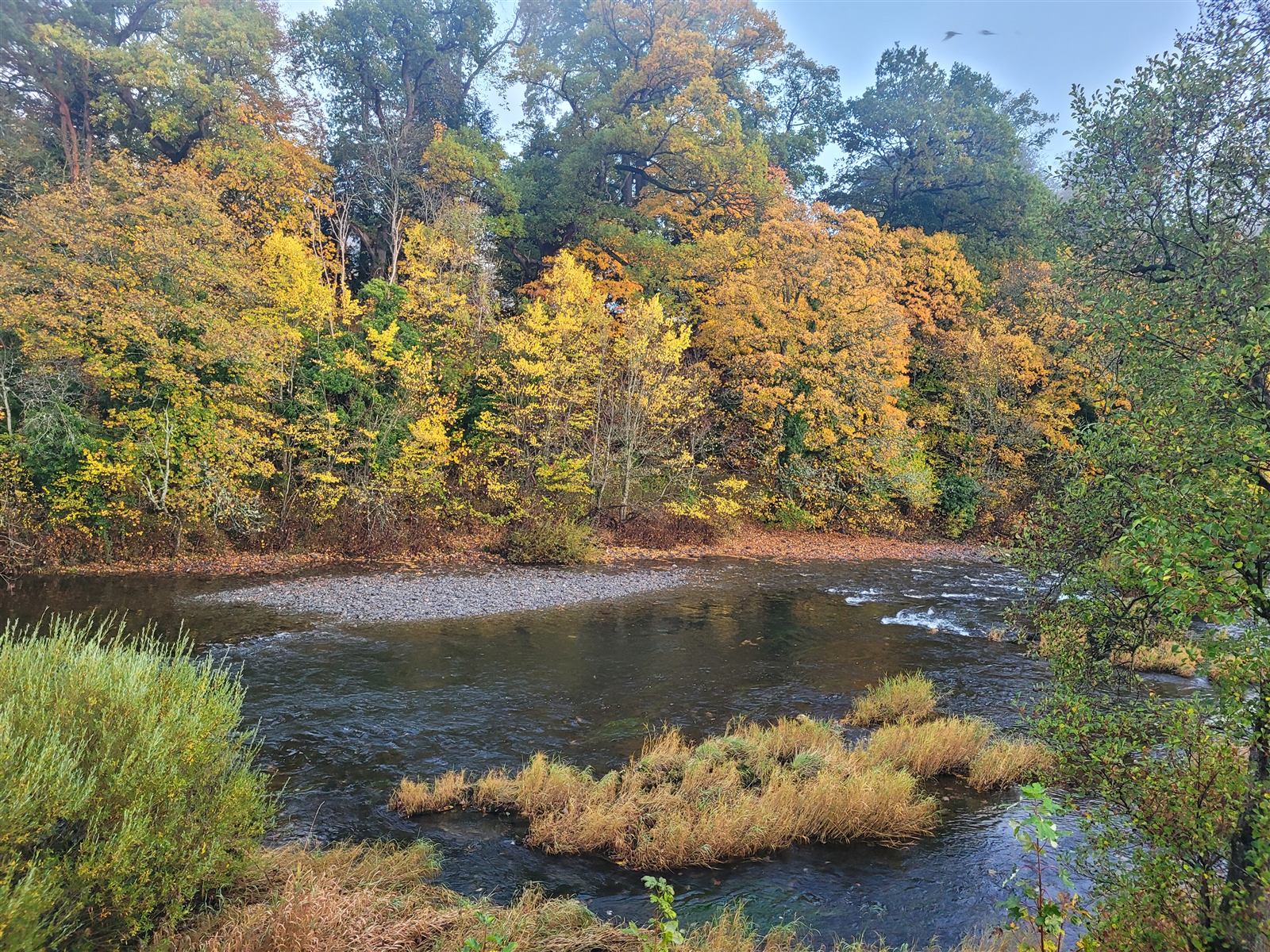The River Teviot, behind the Bruce and Walker workshop
